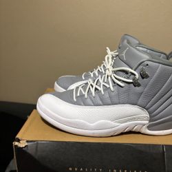 Jordan 12 Stealth SIZE 12
