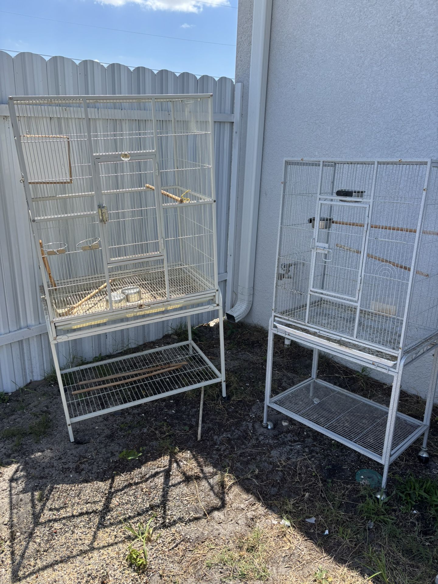 Bird Cage