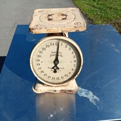Vintage American Family Scale Co