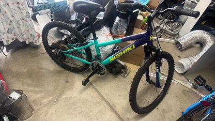 Nishiki 24” Pueblo