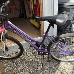 Roadmaster 24" Granite Peak Mountain Bike, Purple