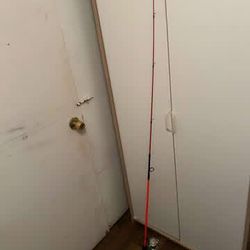 Fishing Rod And Reel