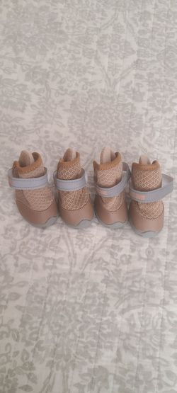 Small dog shoes