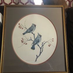 Blue Jay Numbered Print By Joesph Thornbrughs 497/1000 21 1/2” X 23 1/2”