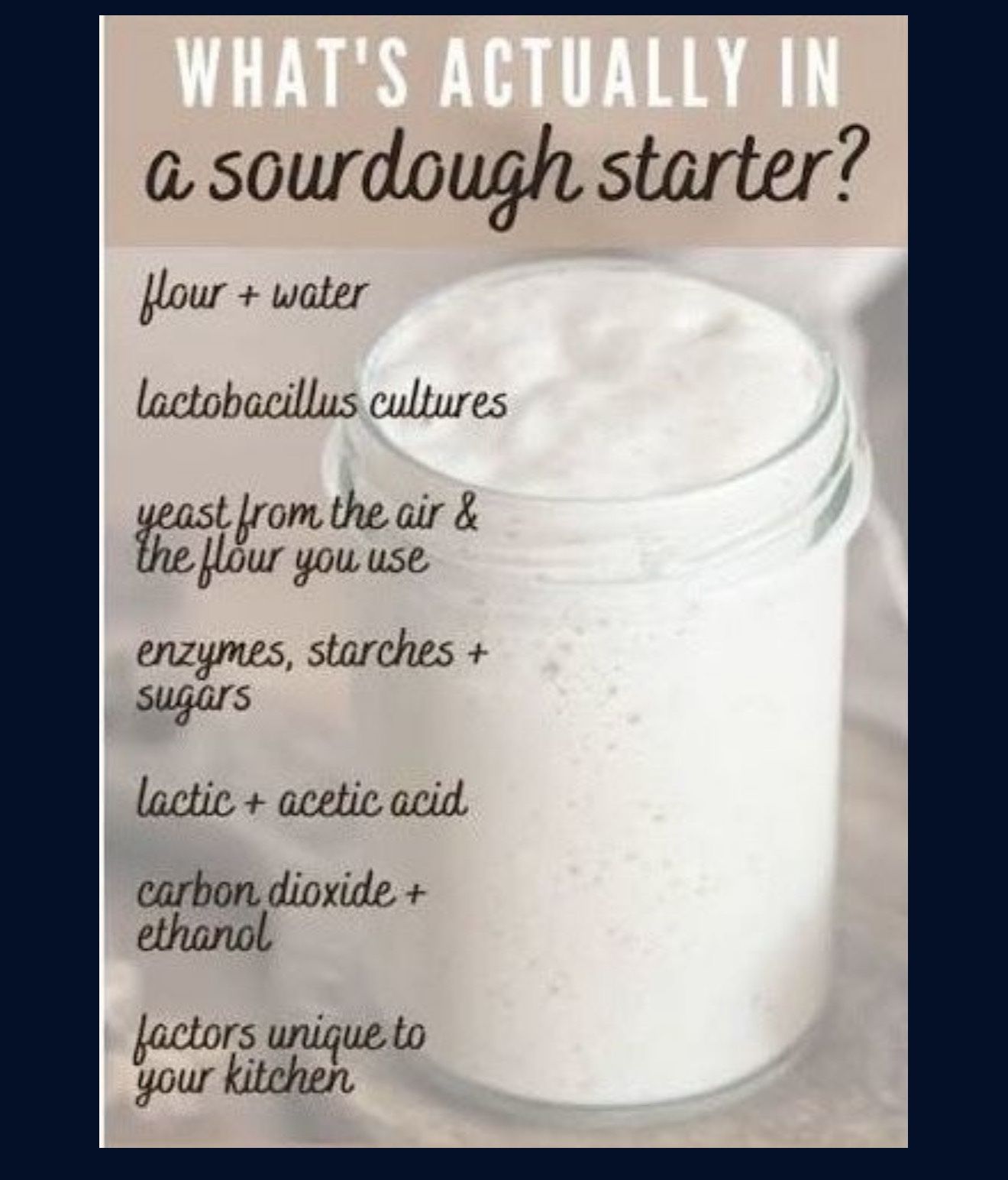 Sourdough Starter Container 4oz