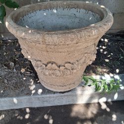 Plant Pot $100
