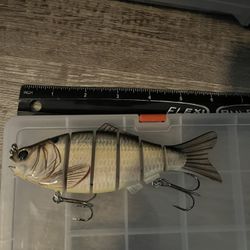 2 Bass Pro XPs Swim baits 