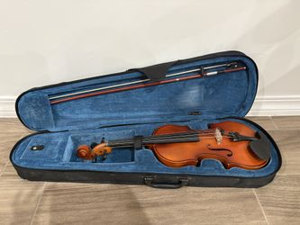 14 inch Viola