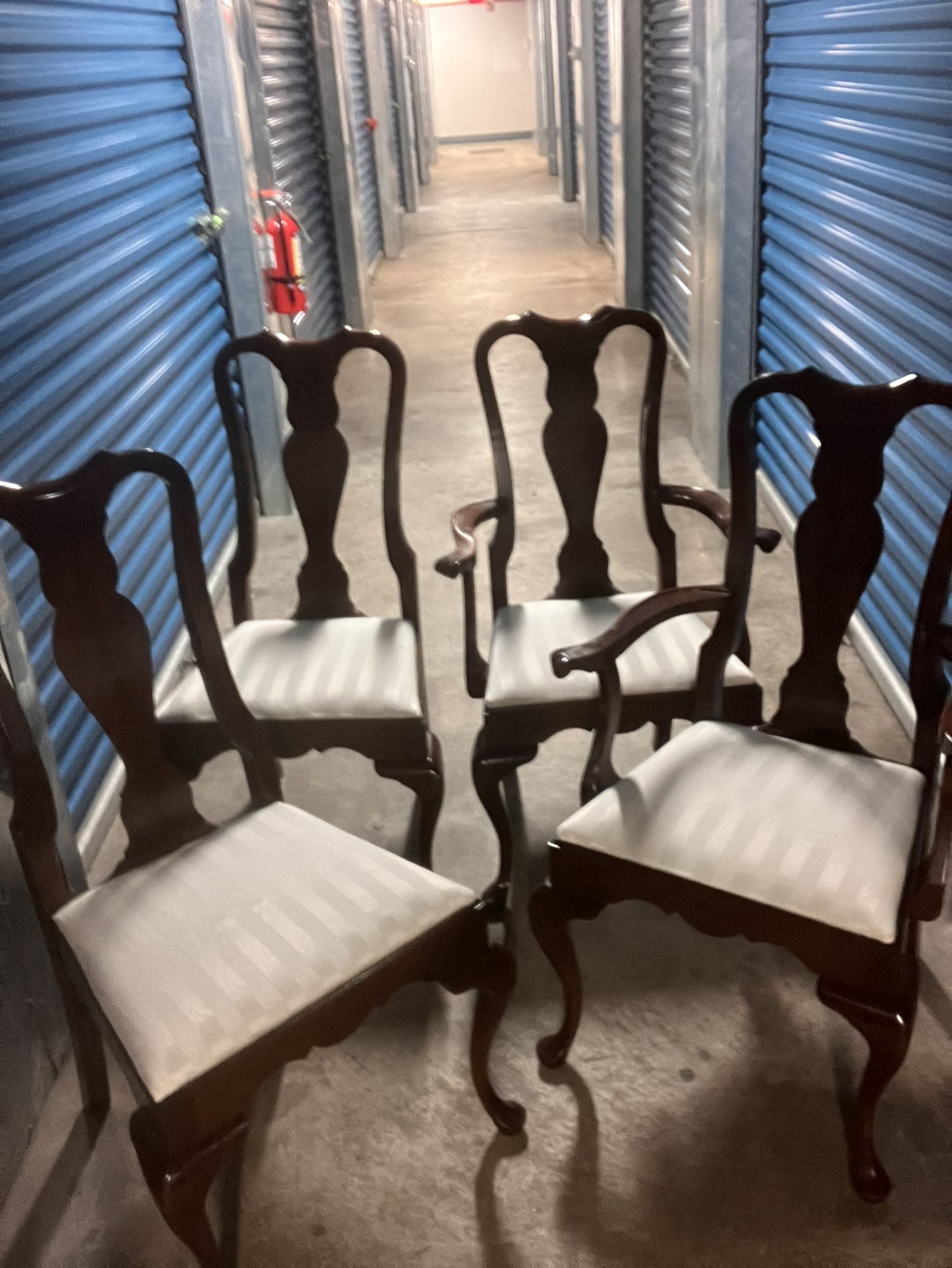 Dining Chairs