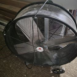 large fan