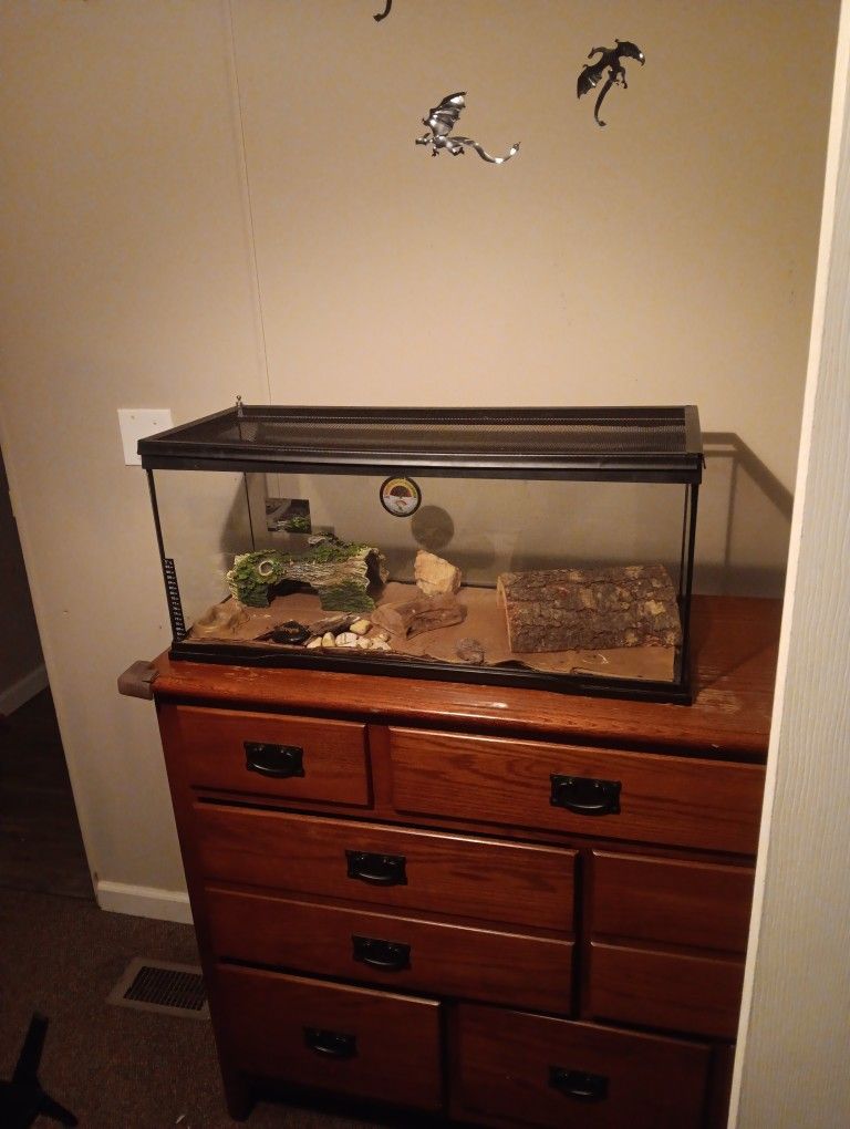 40 Gal Breeder Fish Tank