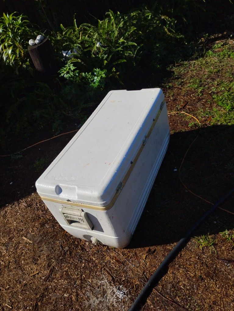 Igloo Cooler 