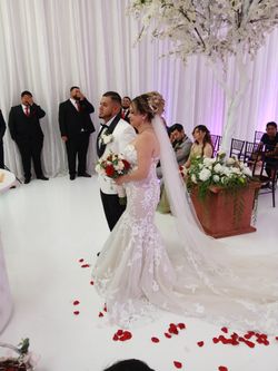 Photo video  Special Slides how Gratis 