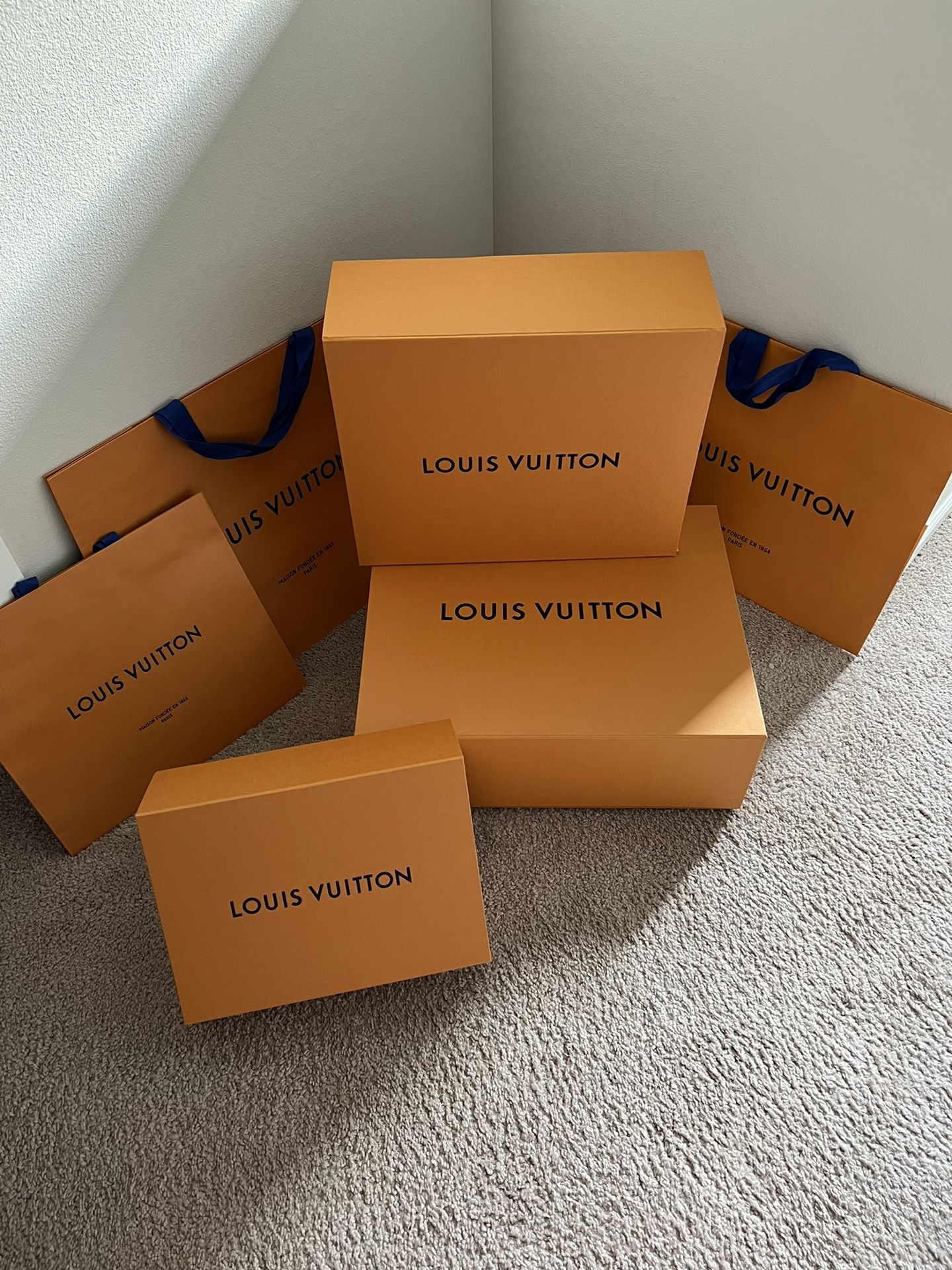Louis Vuitton Boxes And Shopping Bags!
