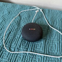 Google Nest Bluetooth Speaker and Home Assistant
