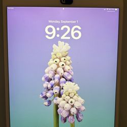 iPad Air (3rd Generation)