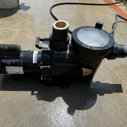 🏊 Pool/Spa Jandy Dual Speed Pump