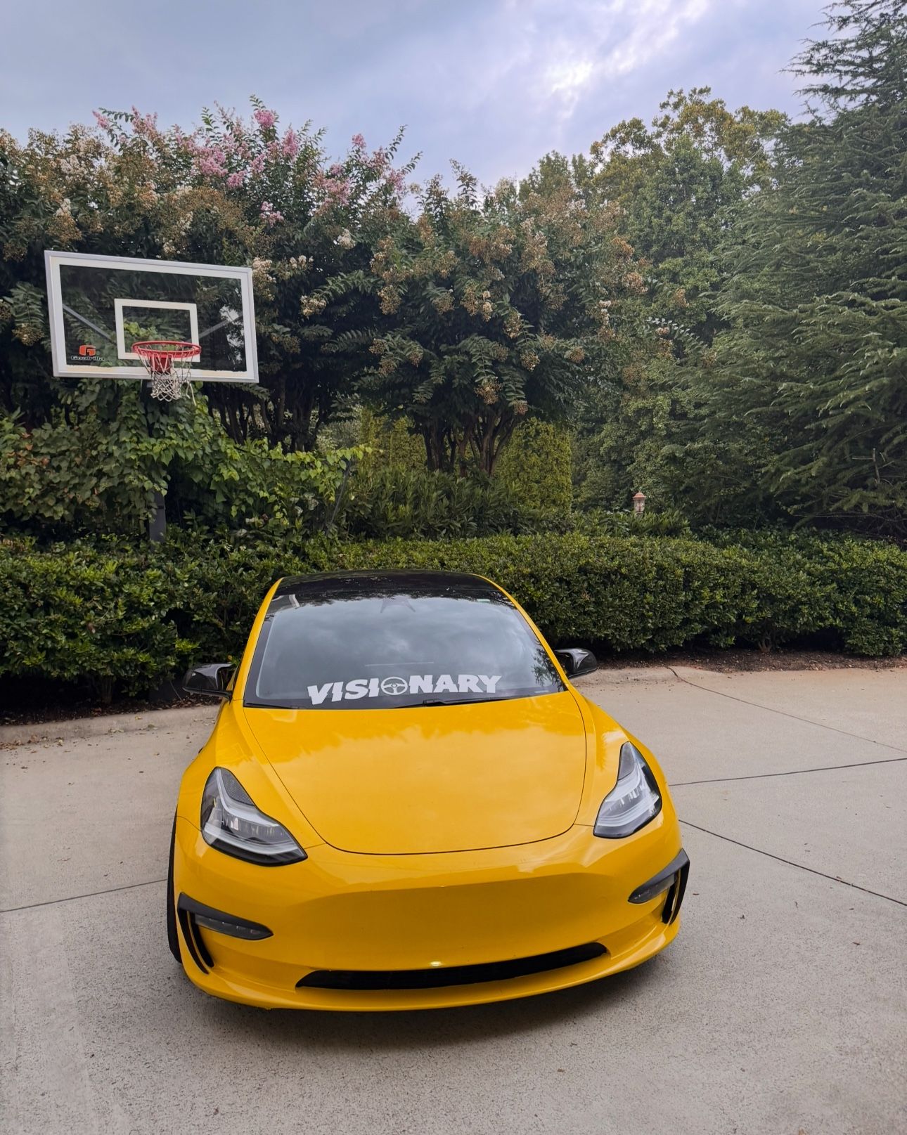 Tesla Model 3 Carbon Fiber Eyebrows/Carnards