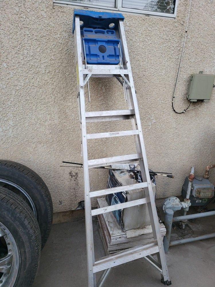 6ft Ladder