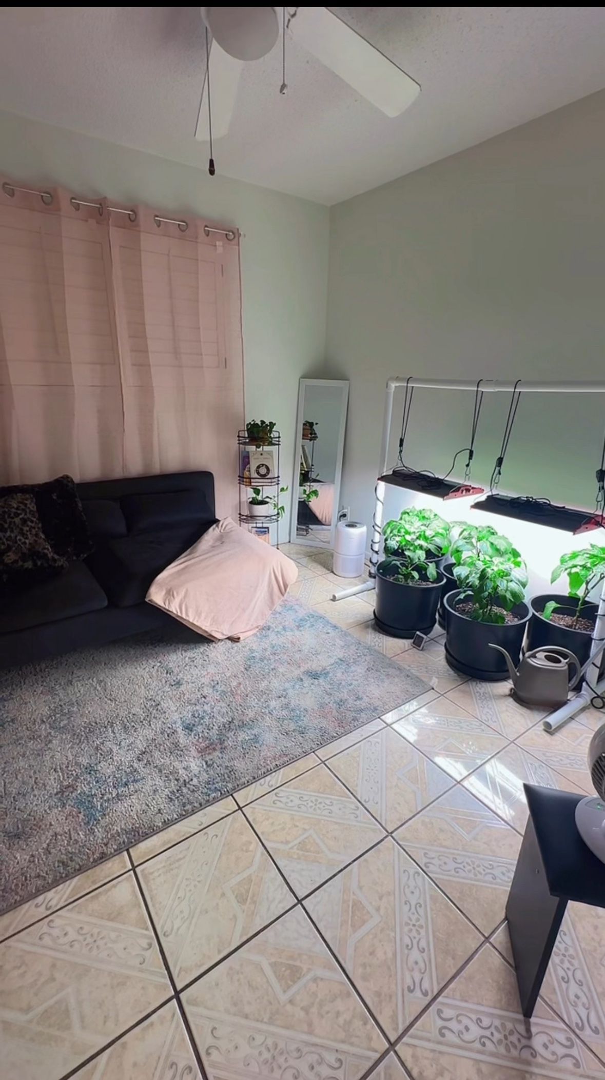 IKEA Navy blue Sofa/Futon