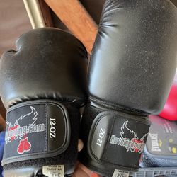 Boxing Gloves/target Mitts