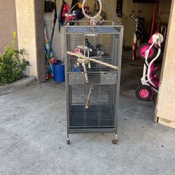 Bird Cage 