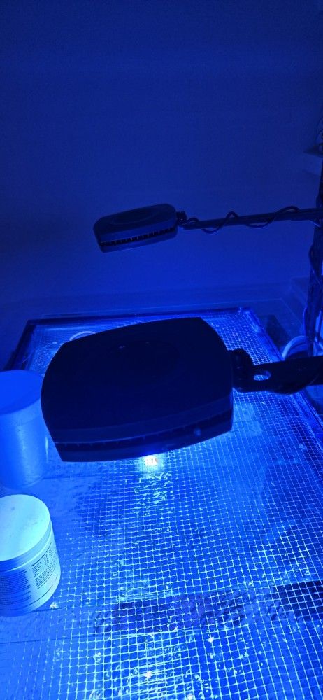 2 AI Prime 16 HD Reef LED Light With Mounts