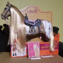 Palomino Paint Horse 