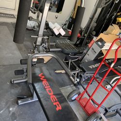 Weider Bench 