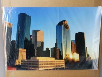 Downtown Houston Skyline 16x24 Photo Print Art