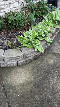 Garden Bed Bricks