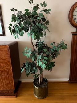 Large Artificial Ficus Tree with Gold Pot