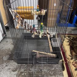 Nice Clean Bird Cage