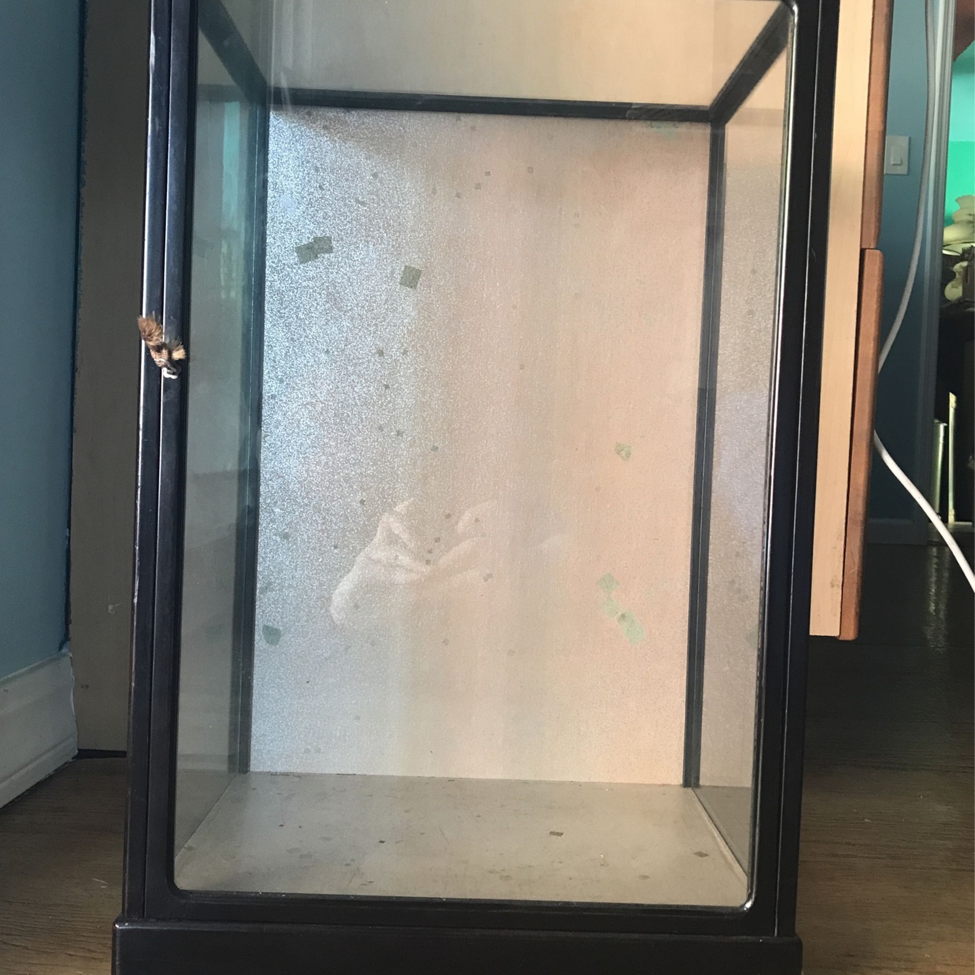 Glass Case