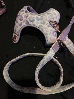 Top Paw Leash And Harness