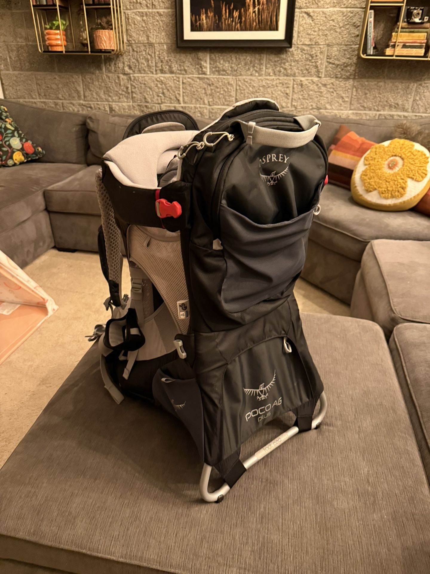 Osprey Poco Plus Child Backpack Carrier