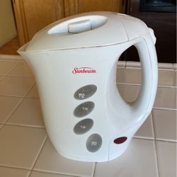 Sunbeam Water Steamer