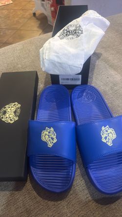 Darc sport slides
