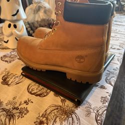 Size 13 Mens Timberland Premium 6-inch Waterproof Boot