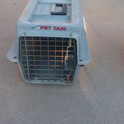 Pet Taxi For Travel.