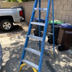 6 Ft Warner Ladder 