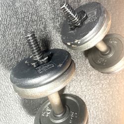  Set of Cast Iron Dumbbells.   54 # [NO LOWER PRICE]