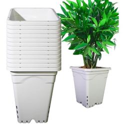 HG7X7SW 7"x7" Square White Pot, 9" Tall, Pack of 10)
