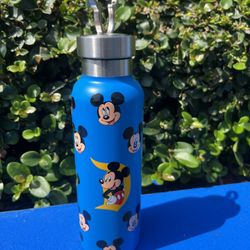 Disney Water Bottle