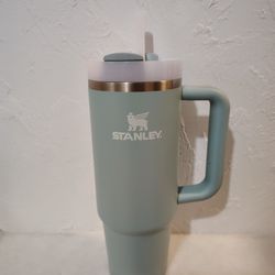 Brand New Stanley Quencher Original 40oz – Sage Green