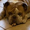 Rudy