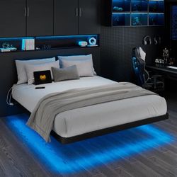 California king bed frame.  With LED