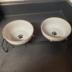 Dog Water And Food Bowels With Stand