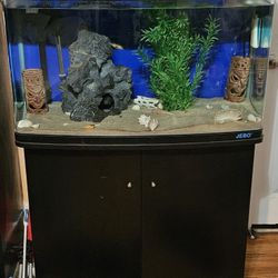 Fish Tank