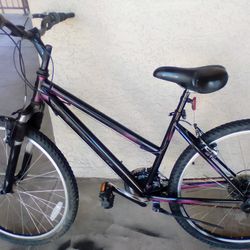 24" Mongoose Mountain Bike 